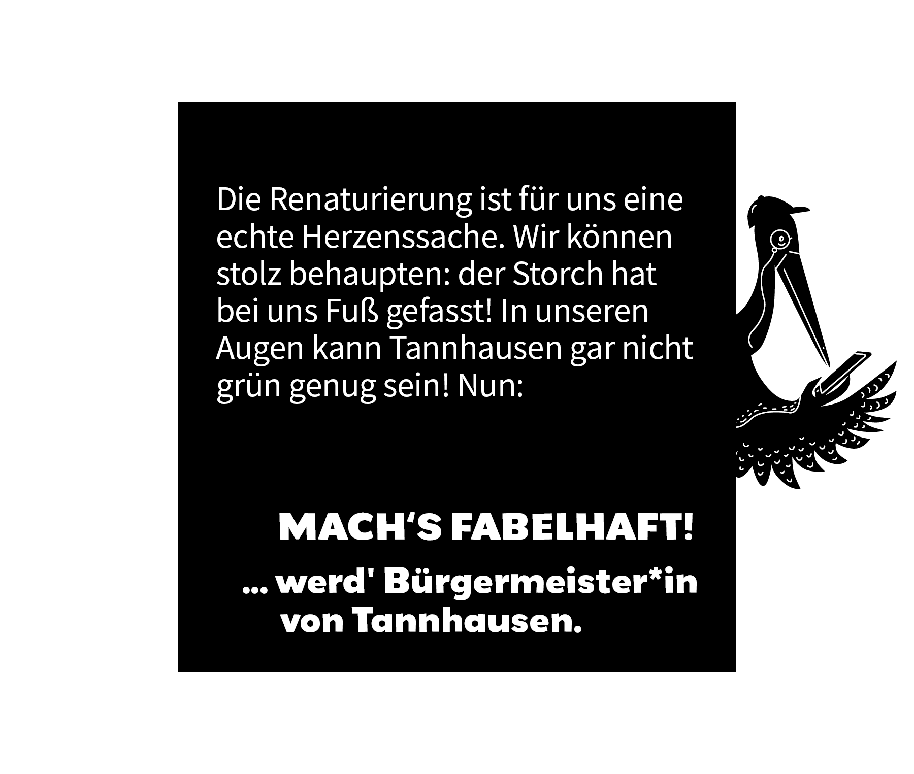 Bürgermeisterwahl Tannhausen Umweltschutz